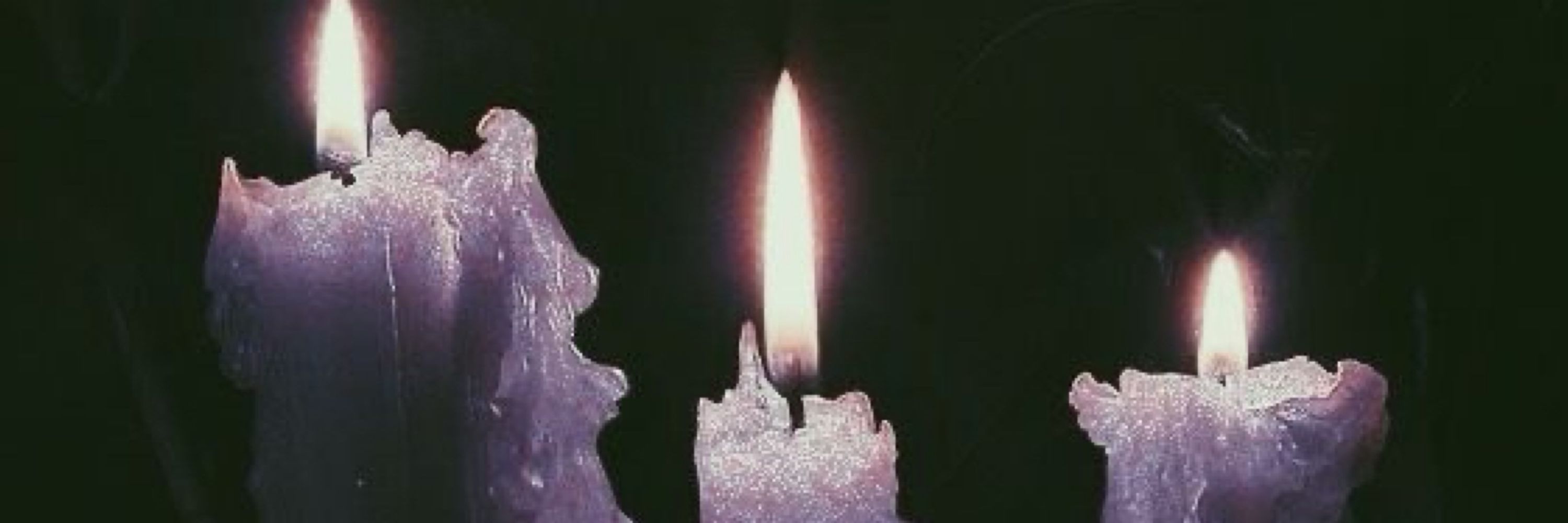 Morcea