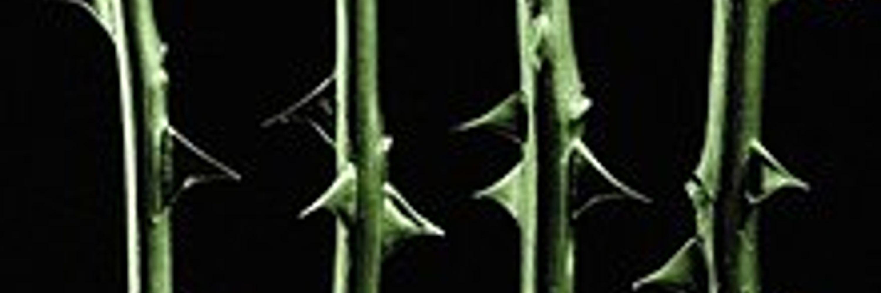 SERIAL DESIGNATION-XI