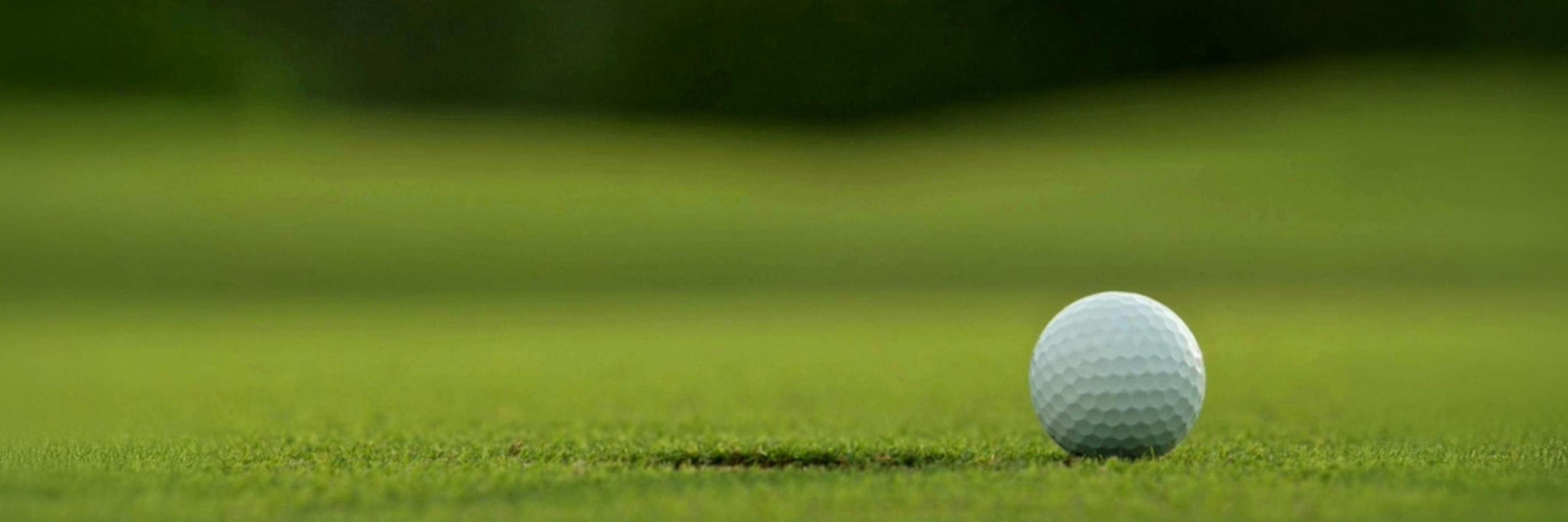 Michigan Interscholastic Golf Coaches Association