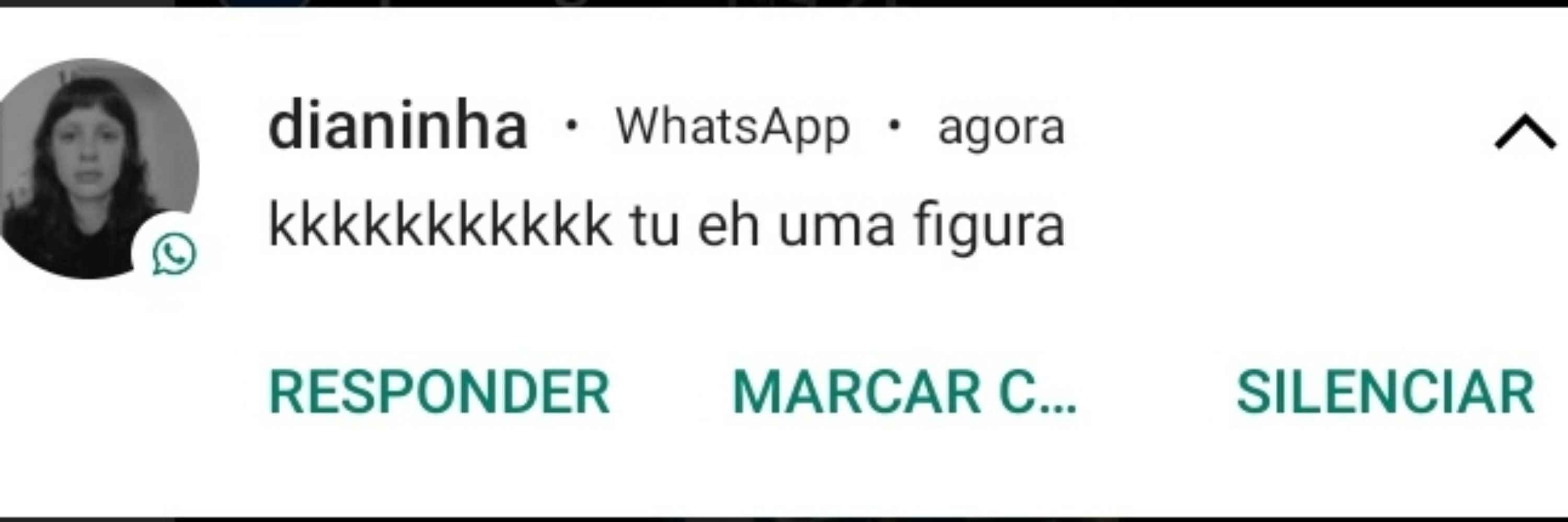 geni e o ze pelinho