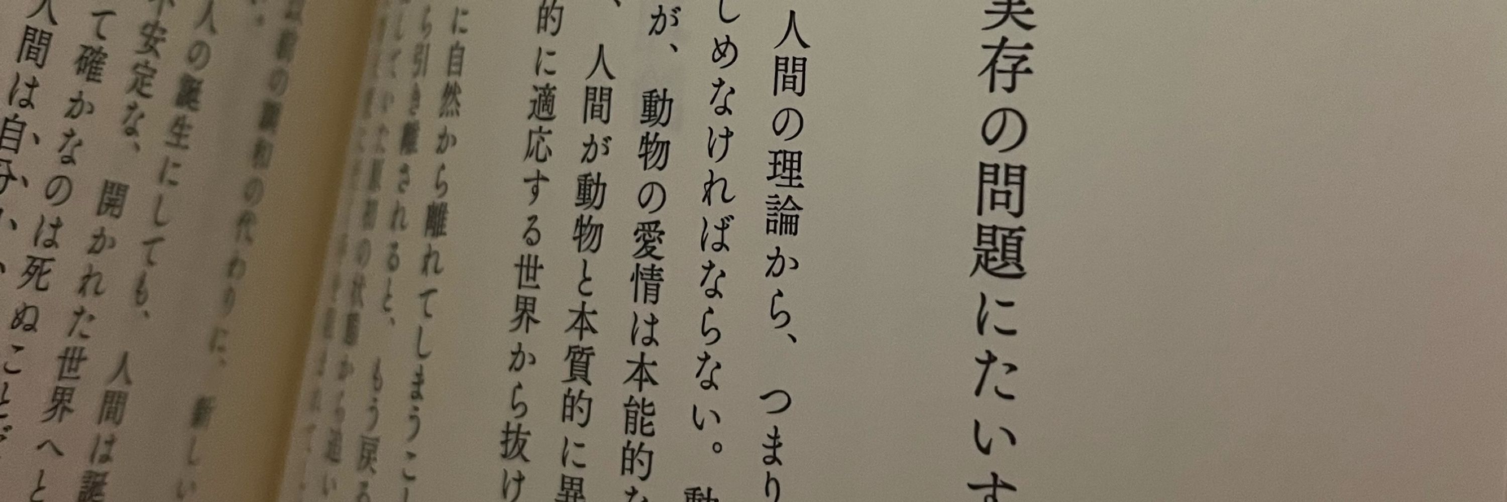 ていこくっぽい