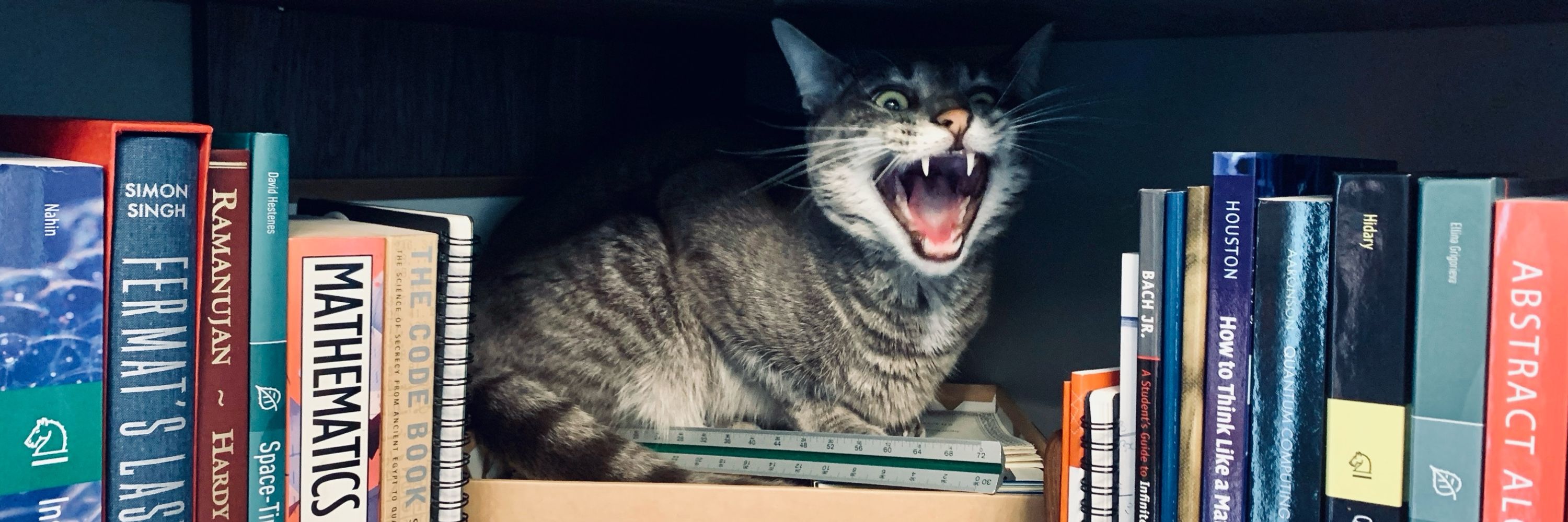 André