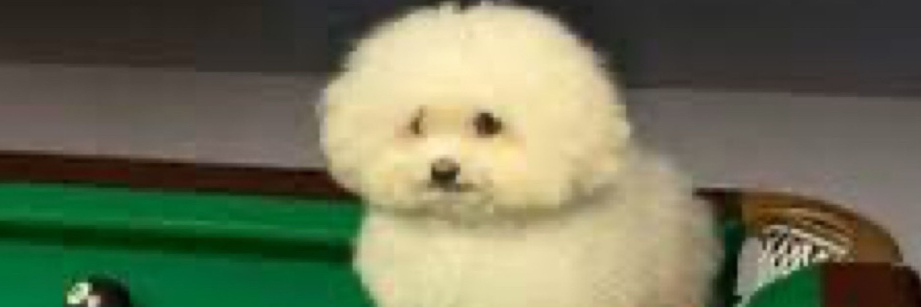Dennis