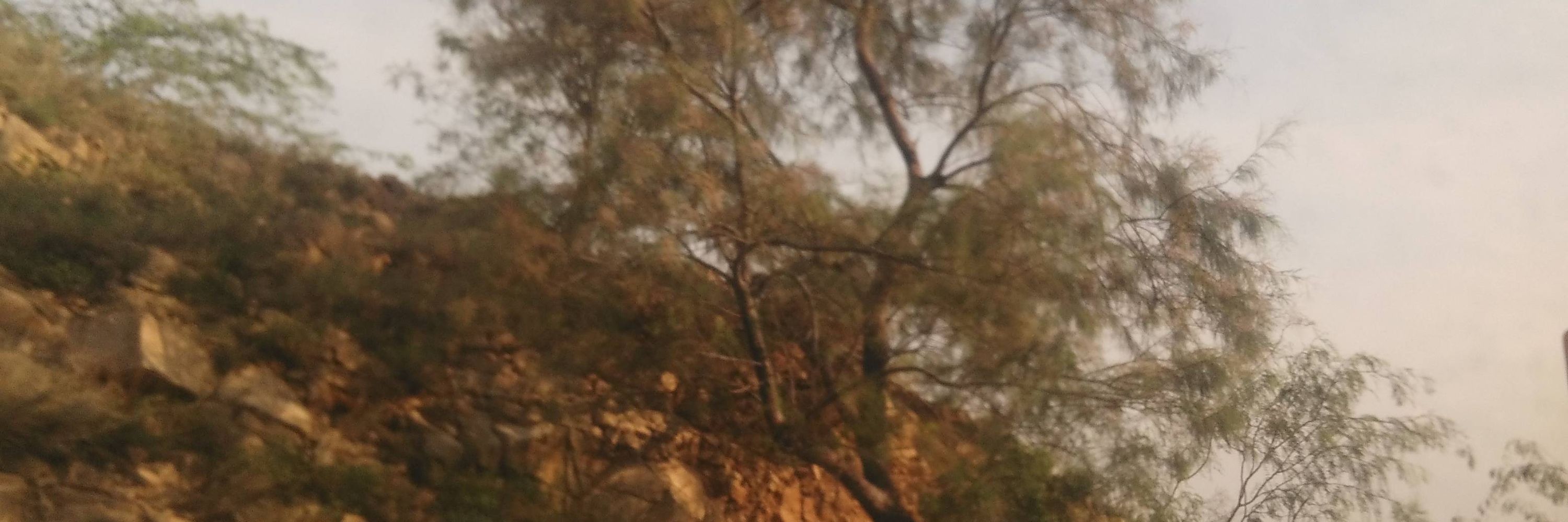 DrKhalid
