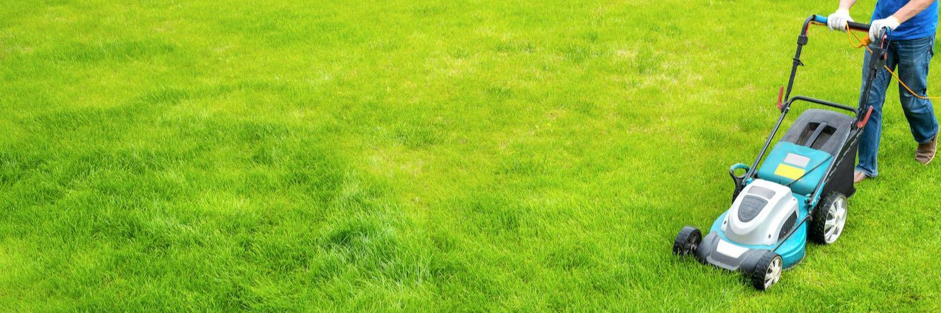 Teddy's Cleaning and Lawn Care
