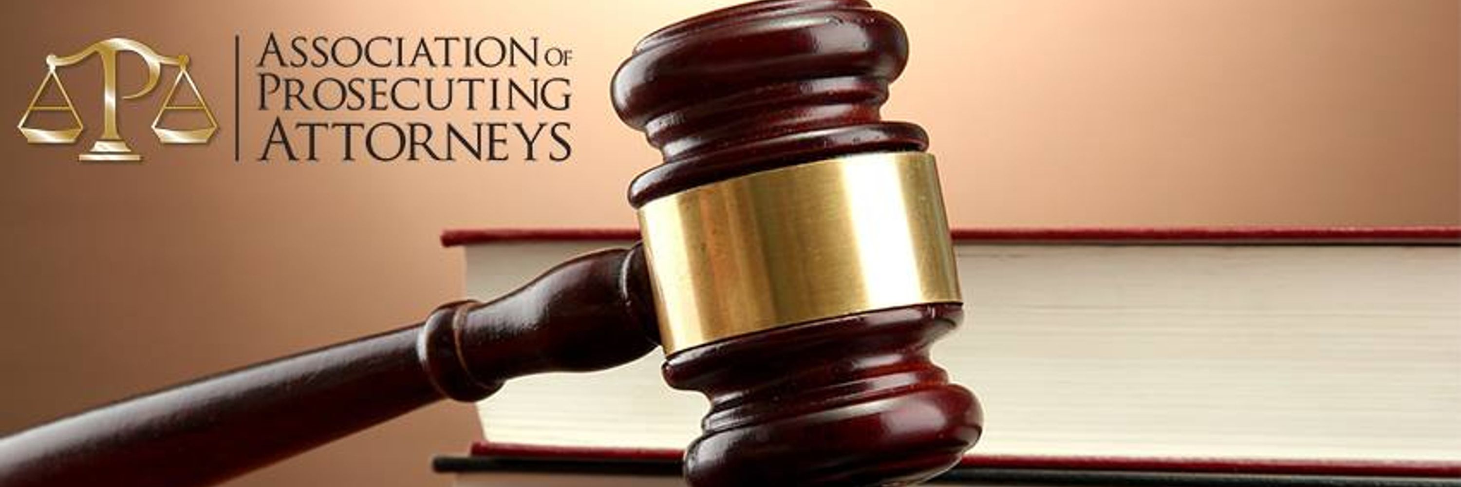 Association of Prosecuting Attorneys