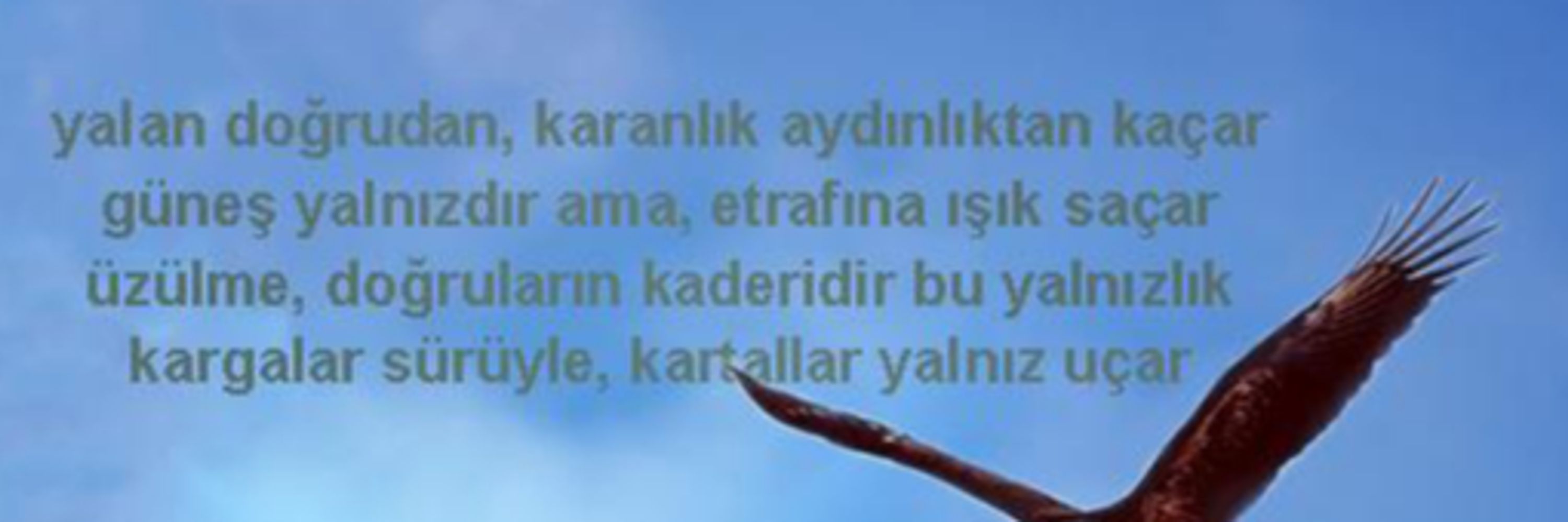 kurtdereli