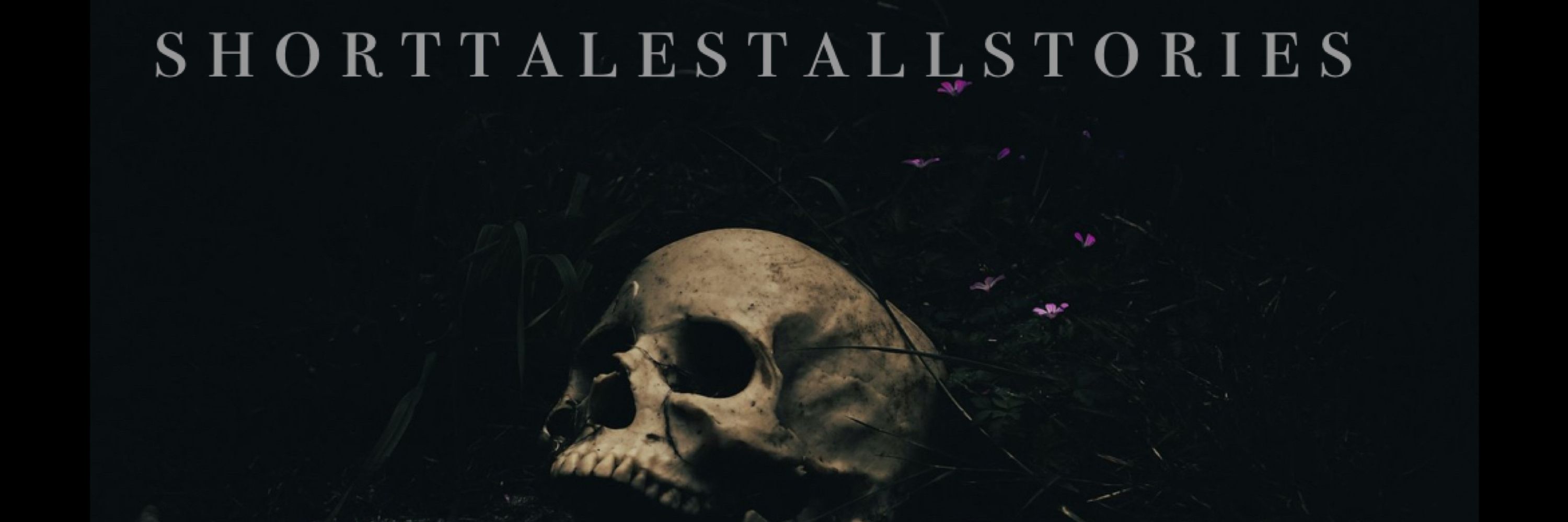 s h o r t t a l e s t a l l s t o r i e s