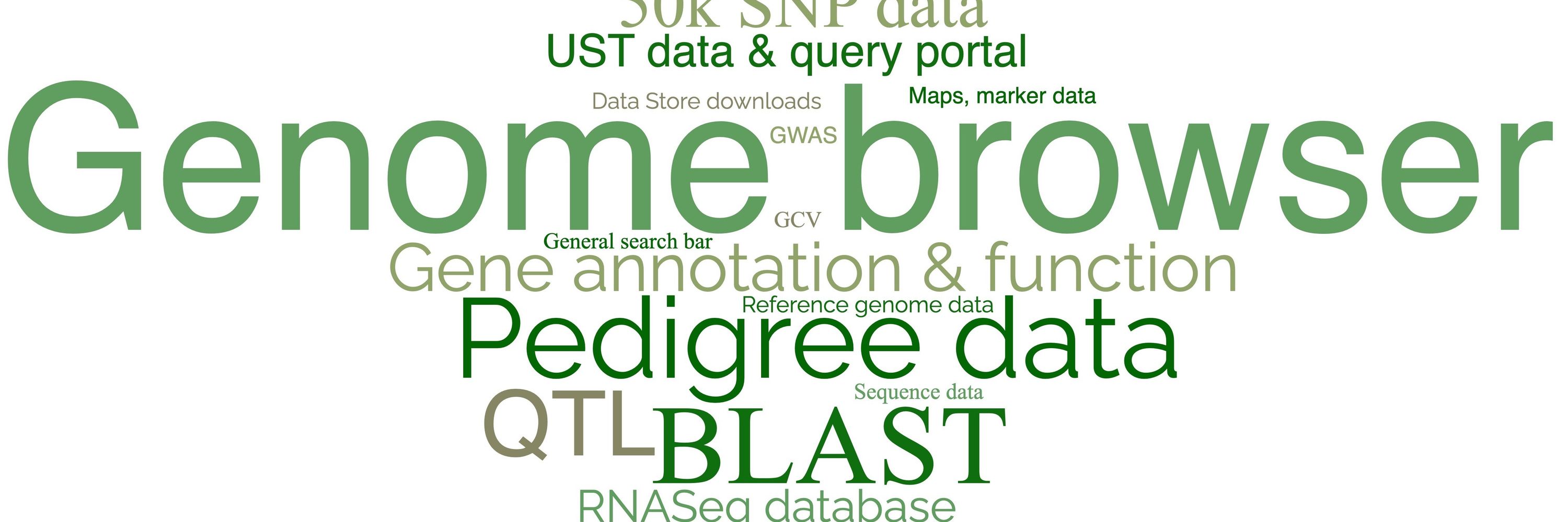 SoyBase.org