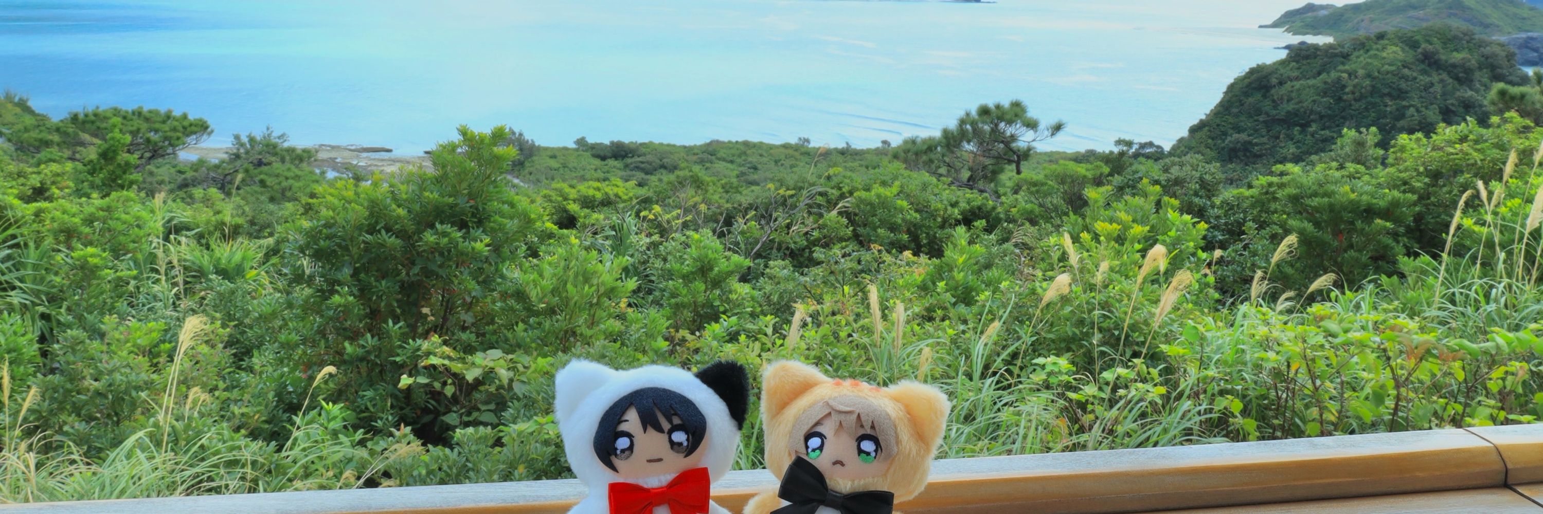 ぐりぽこ