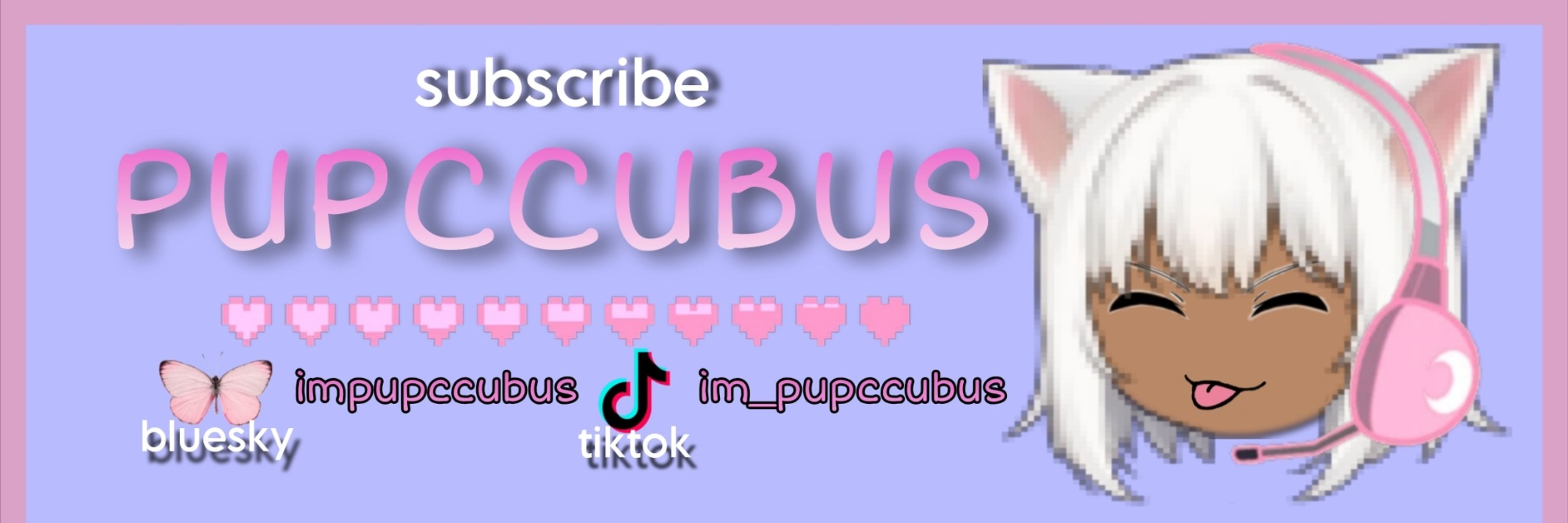 PUPCCUBUS