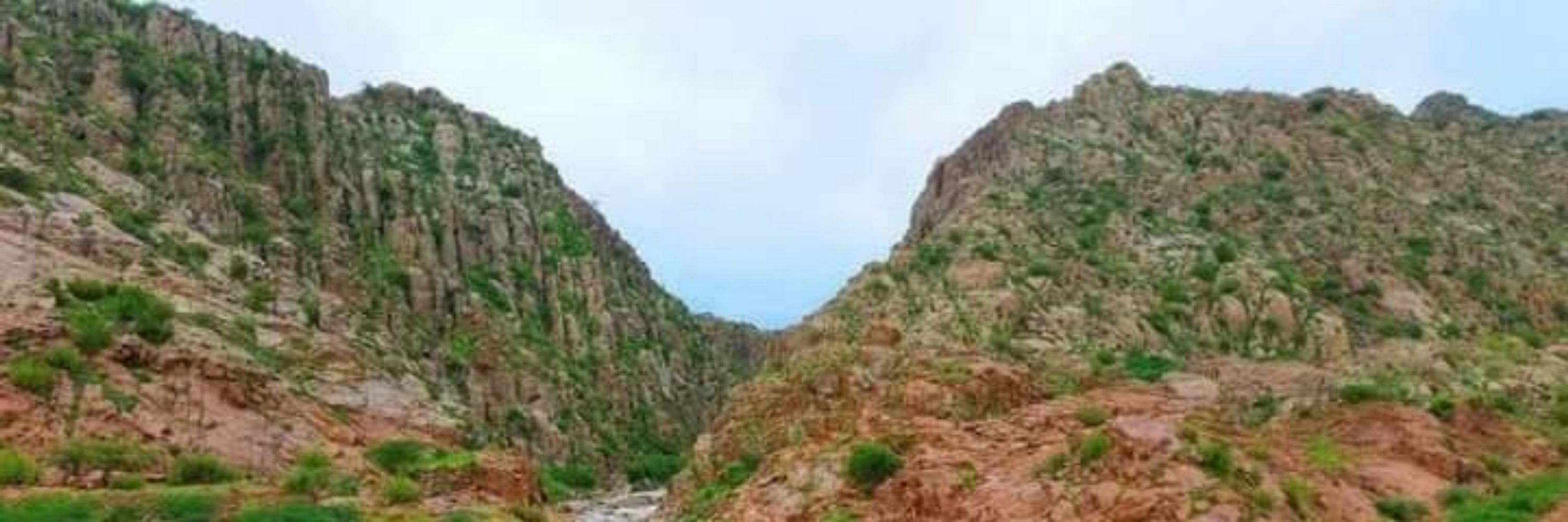 Dilkash Sindhi