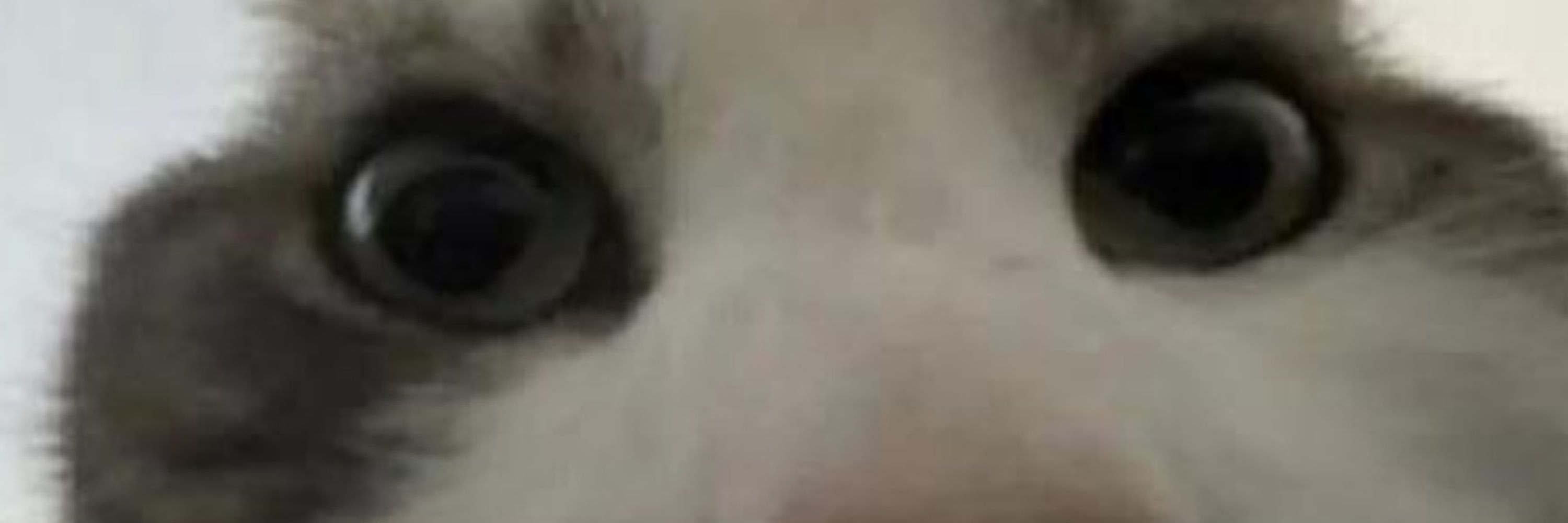 Acid