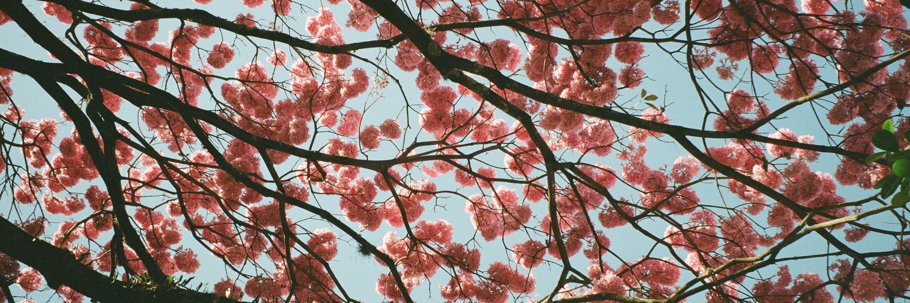 ♡ Laís ♡ (◍•ᴗ•◍)❤ ੯‧̀͡⬮