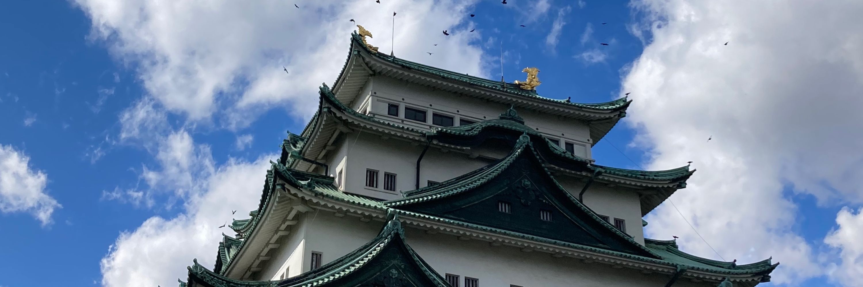 睡眠