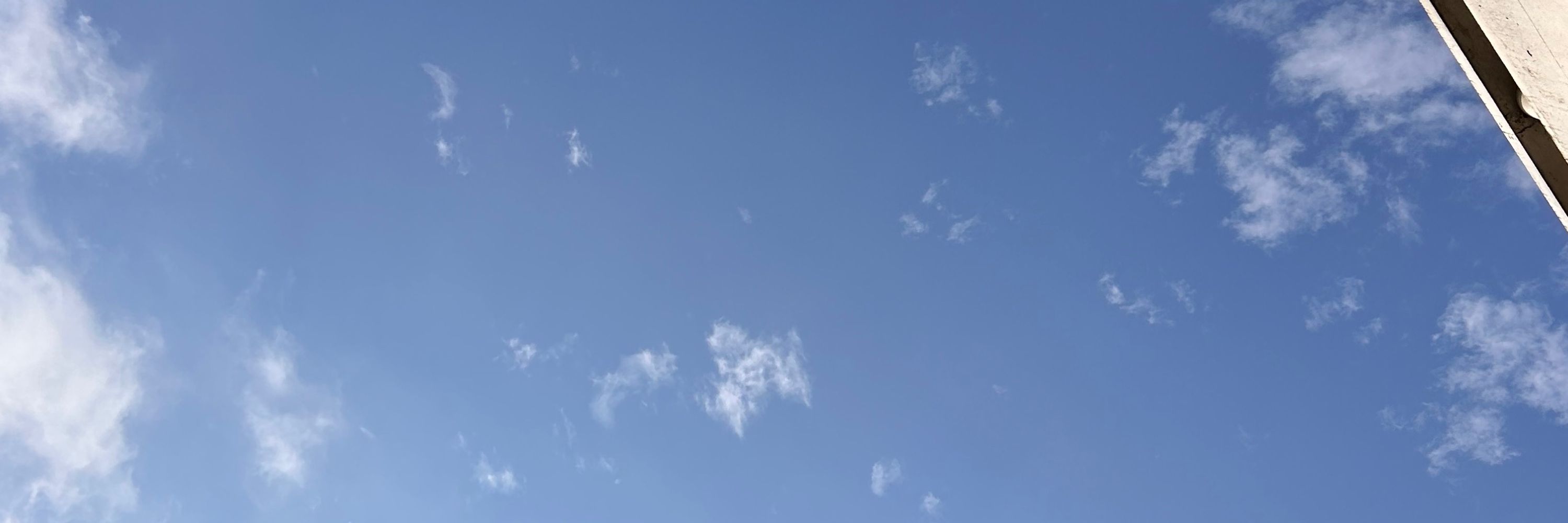 水野