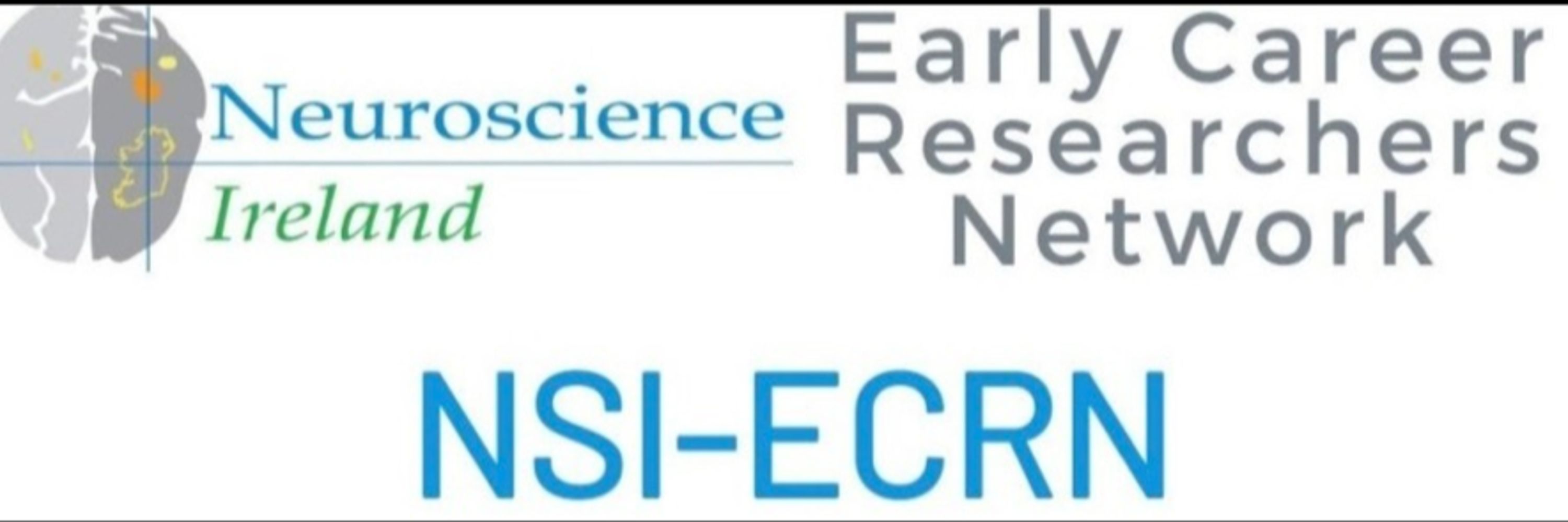 NSI Early Careers Research Network