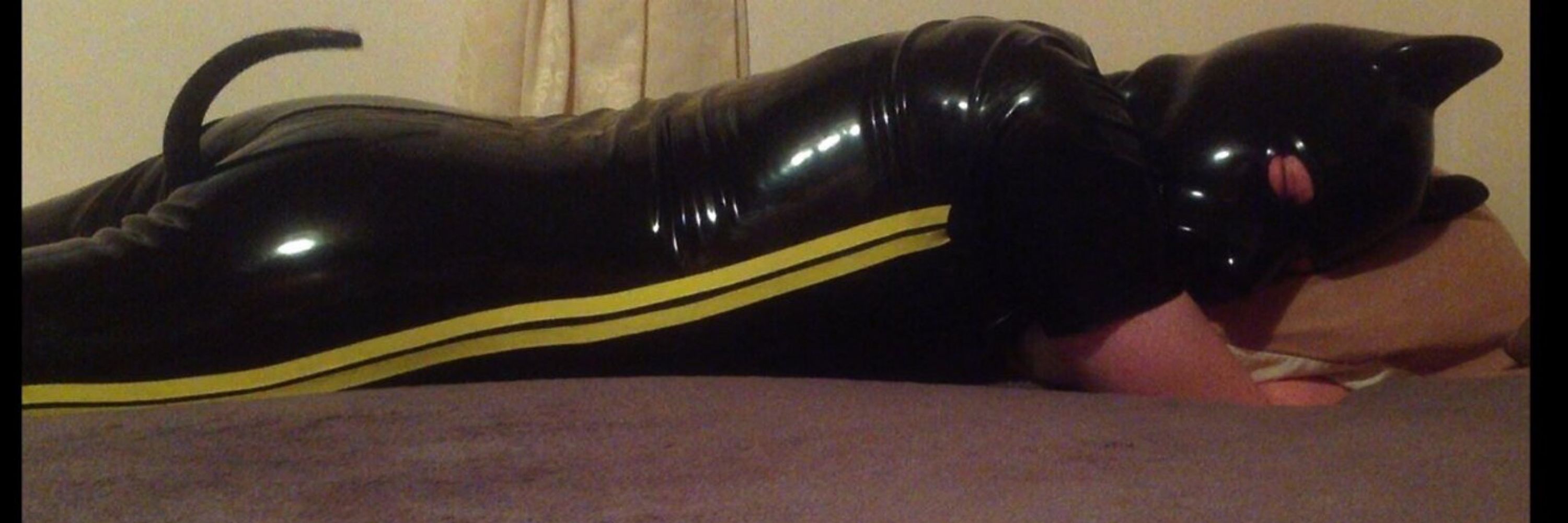 Puppy Link 🔜 IML 2025