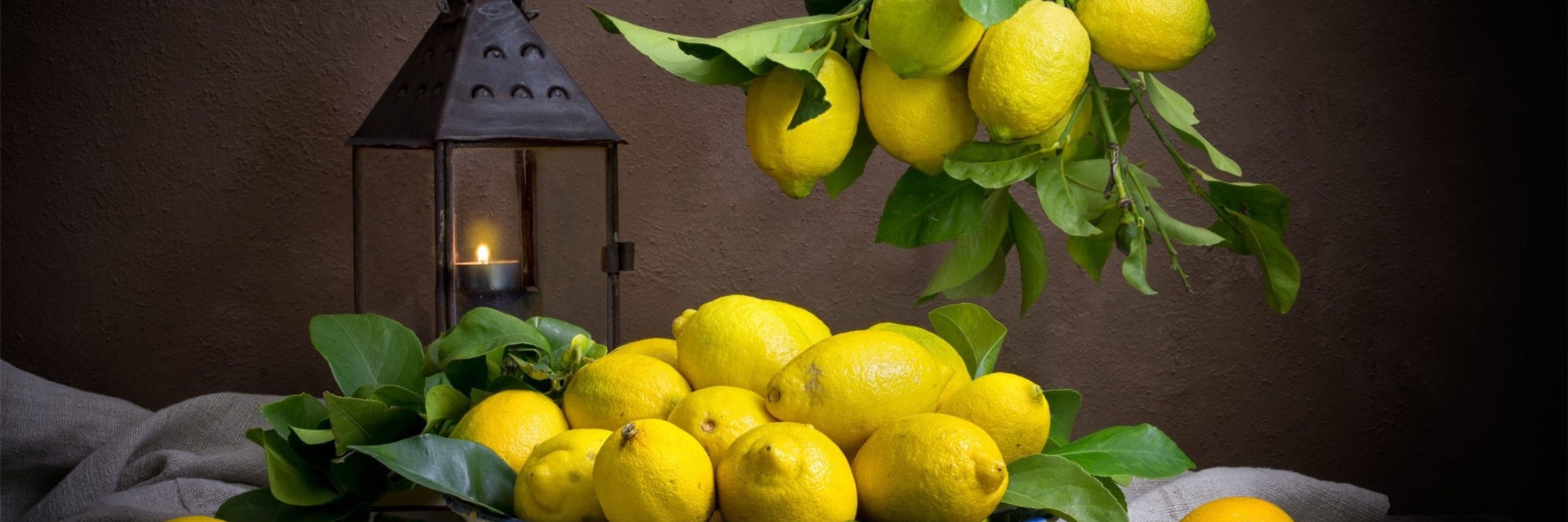 🍋 Lemon 🍋