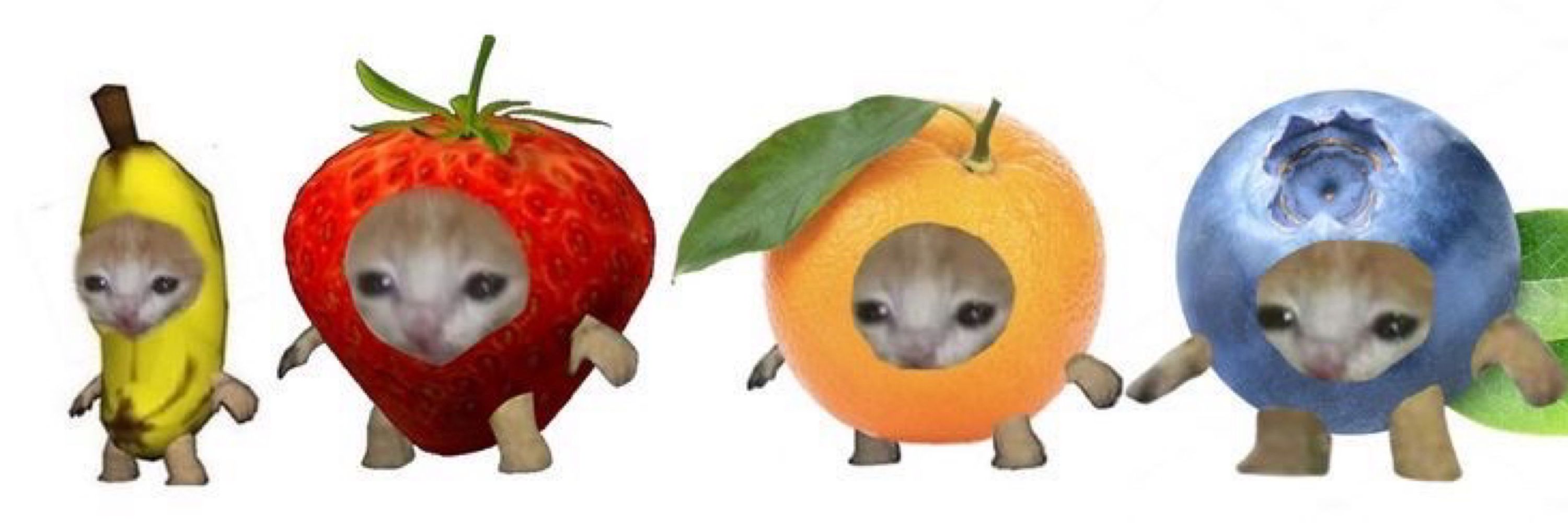 PurrBiotick