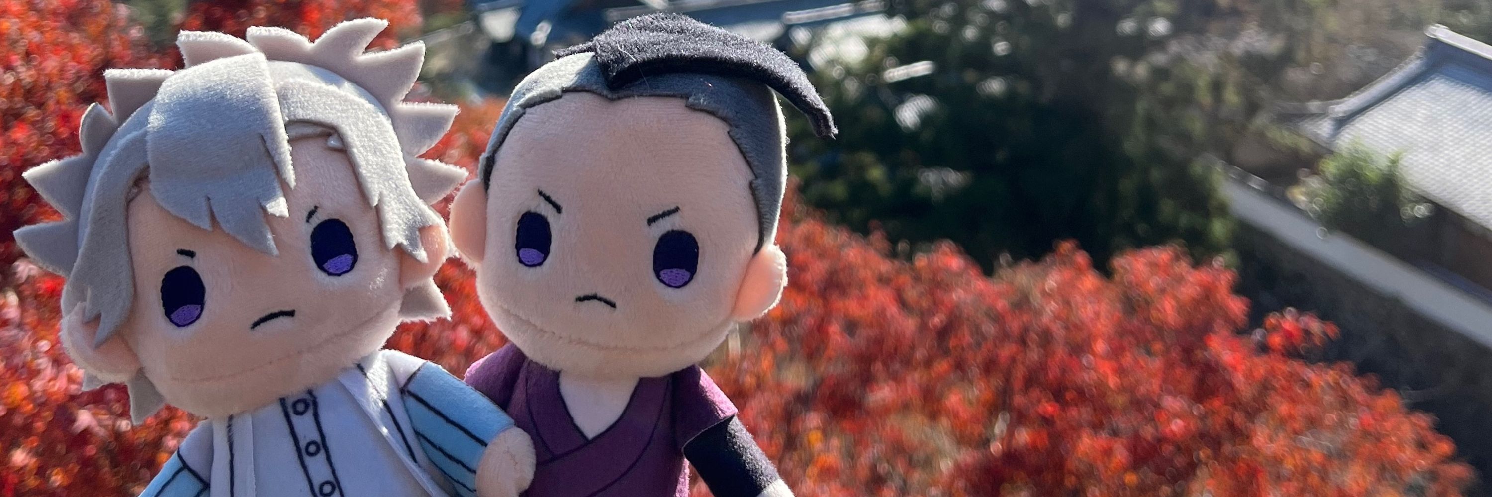 いむ。