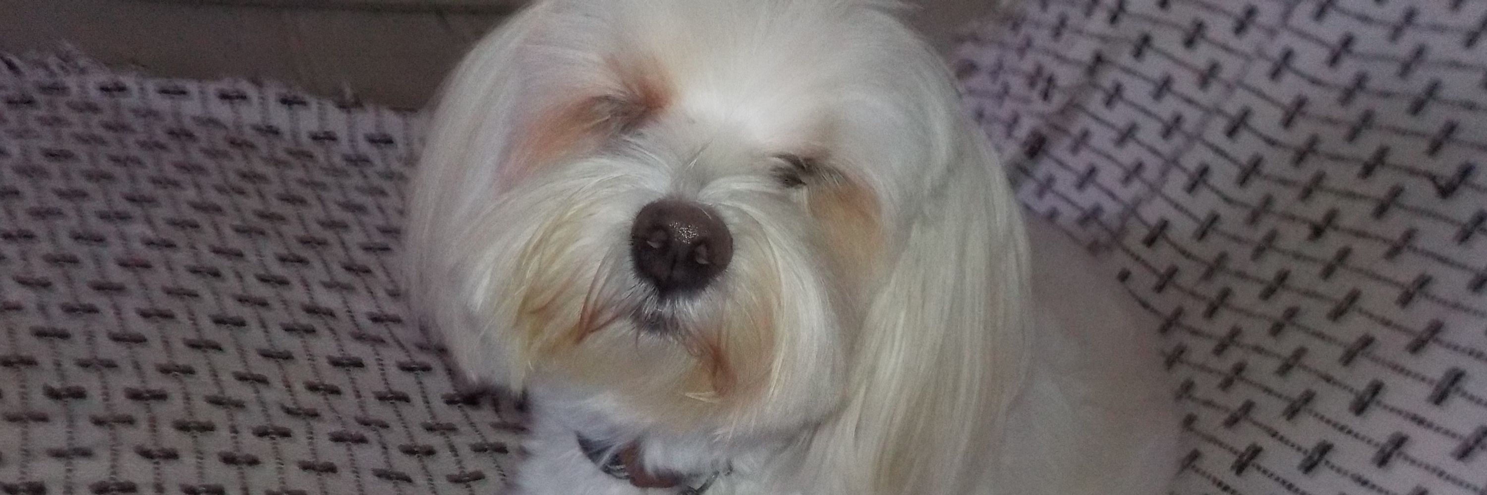 Bella💋