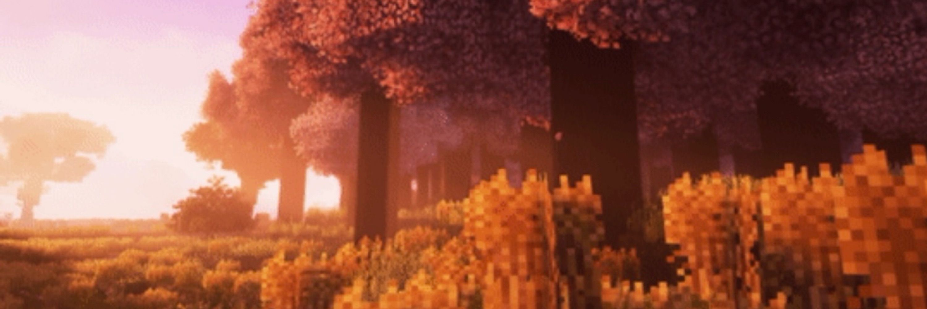 Maze