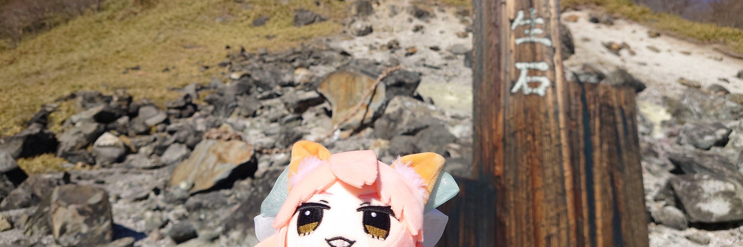 めもらんだむ🛸