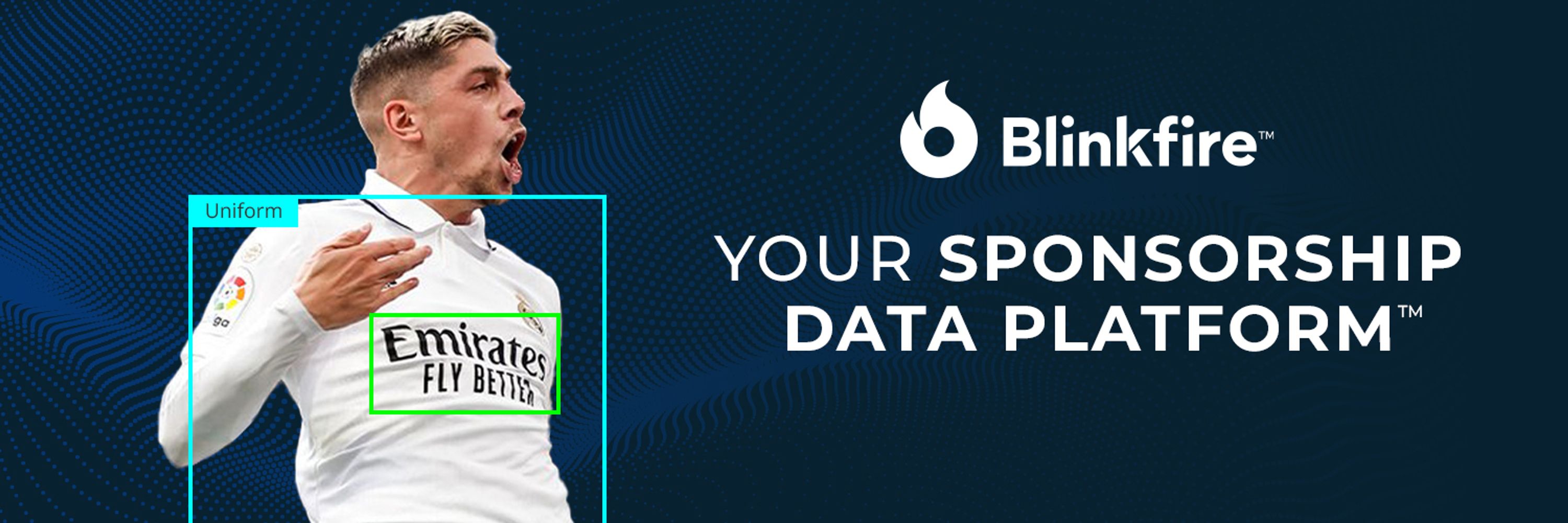 Blinkfire Analytics