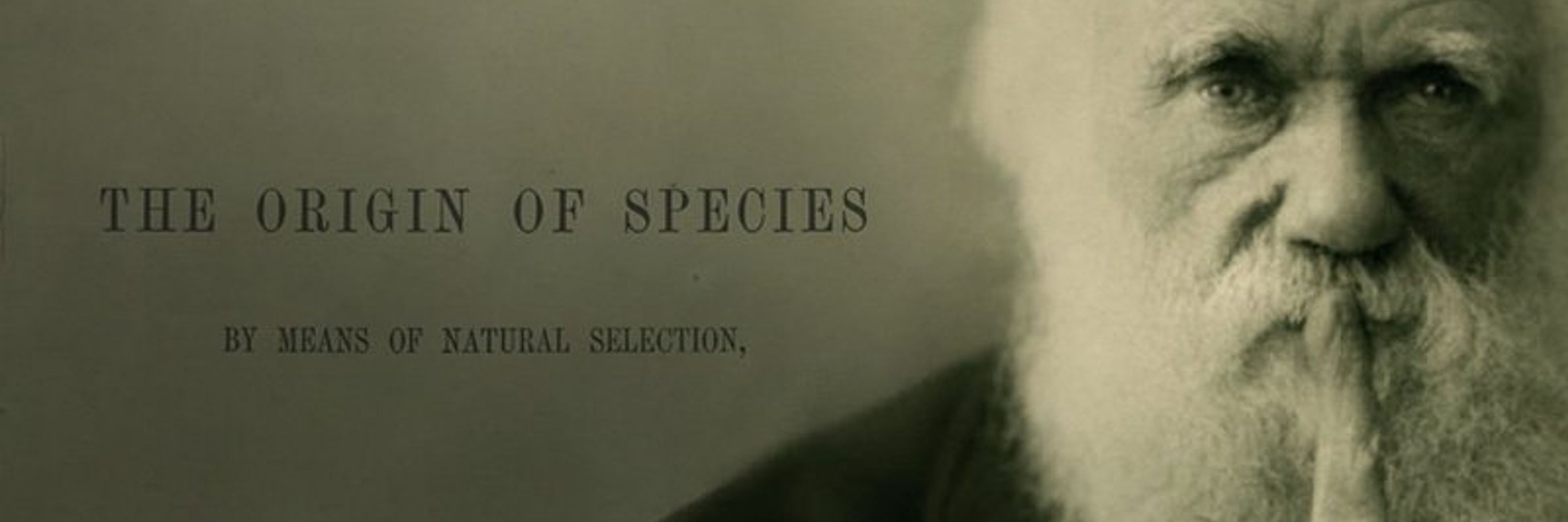 Darwin it
