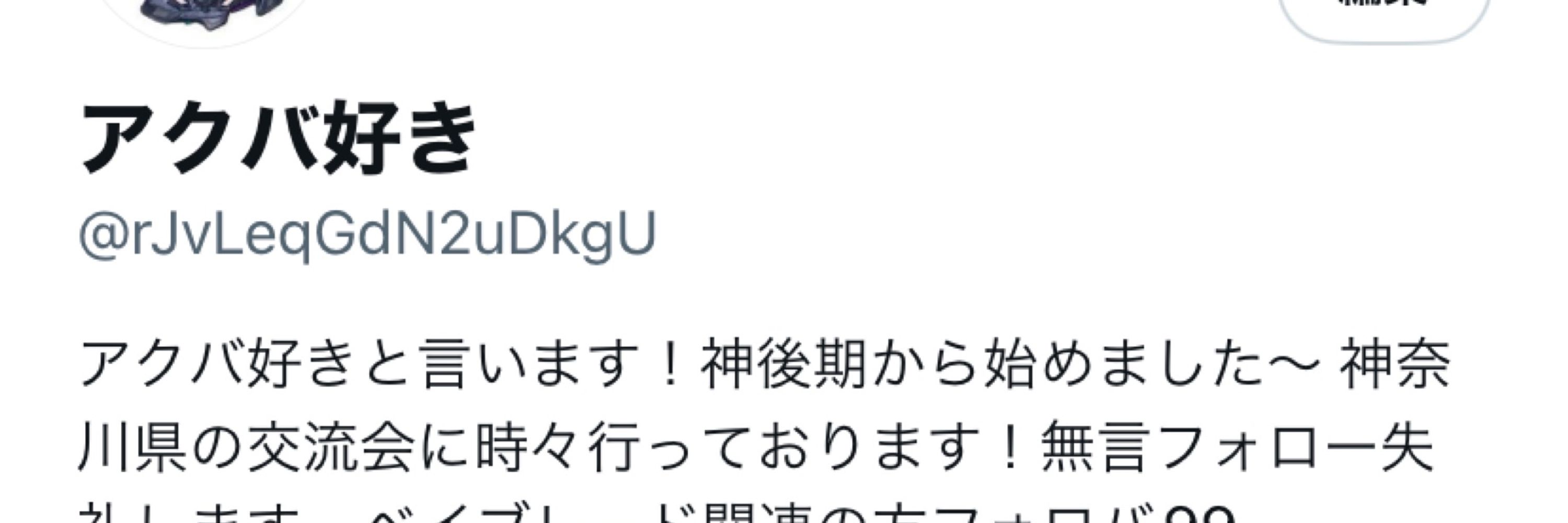 アクバ好き（避難垢】
