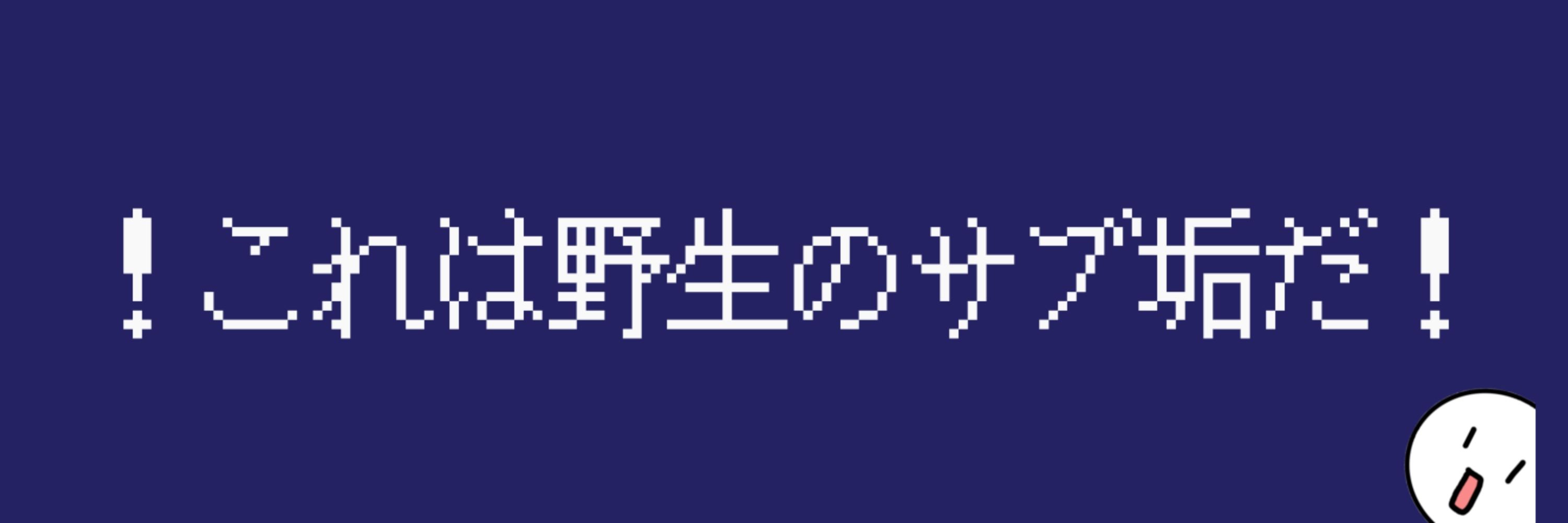 ふらのサブだよ(？)