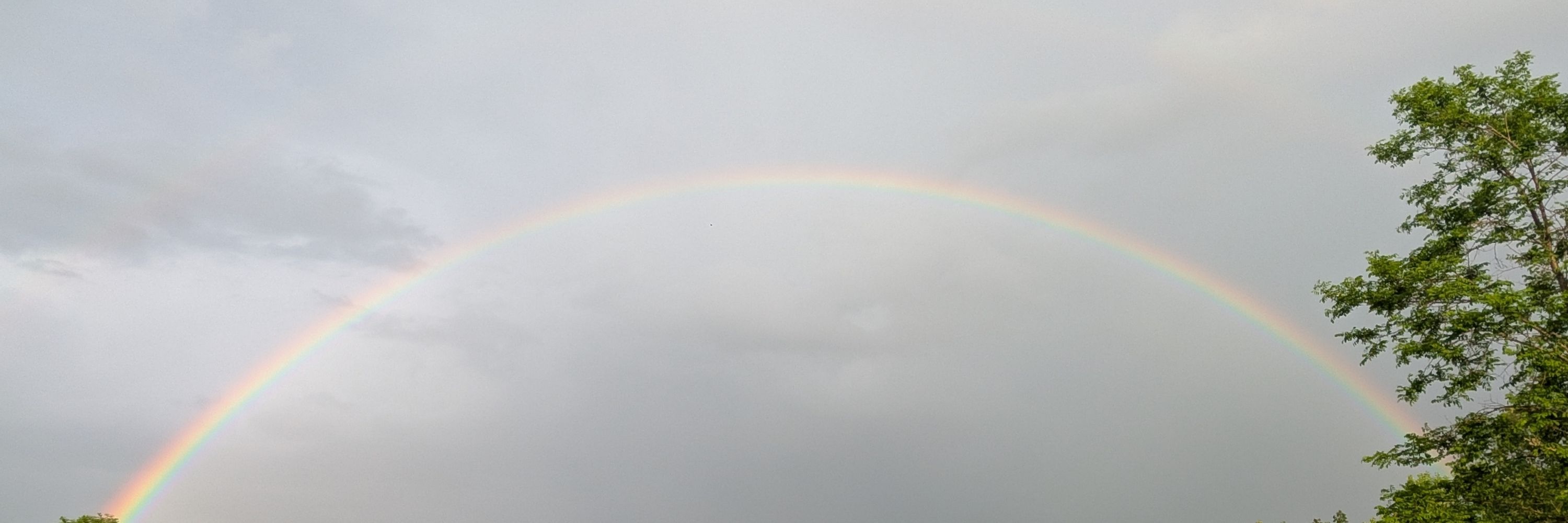 Rainbow