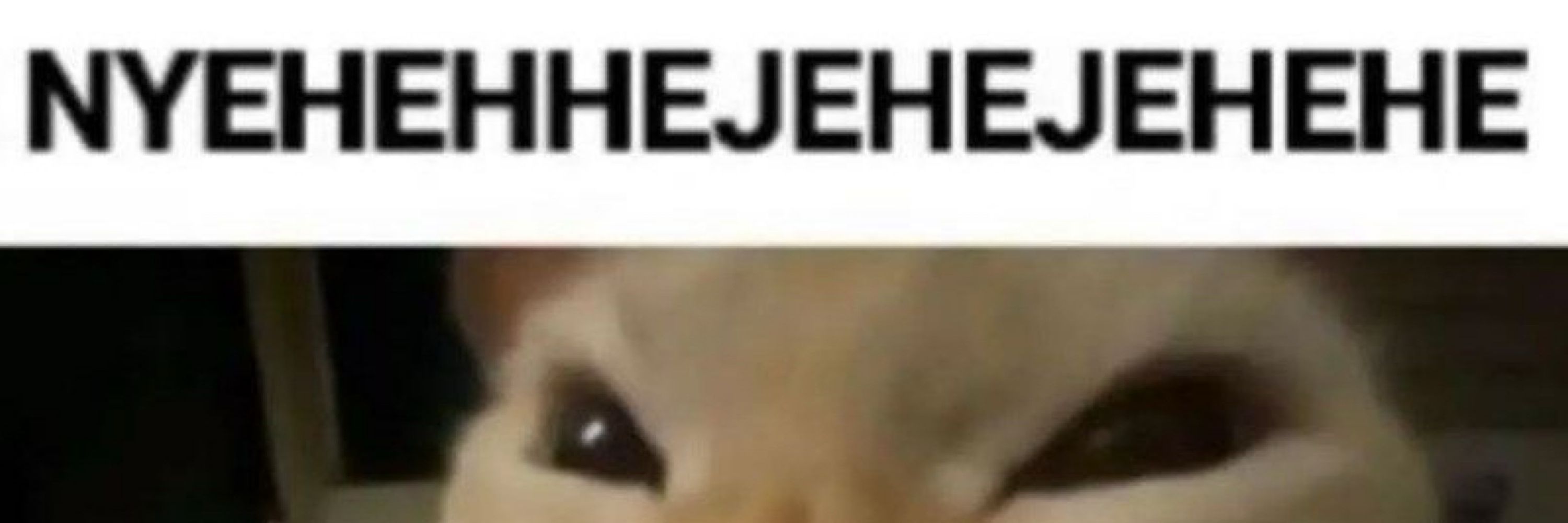 𝒓𝒆𝒙 𝒄𝒂𝒓𝒏𝒂𝒈𝒆 🐾🪦