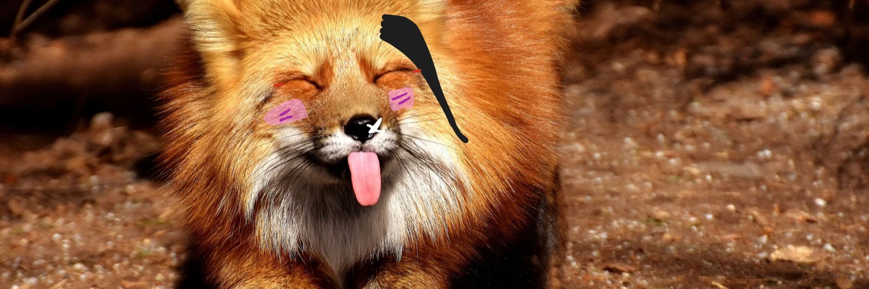 Pandamonio on AO3 