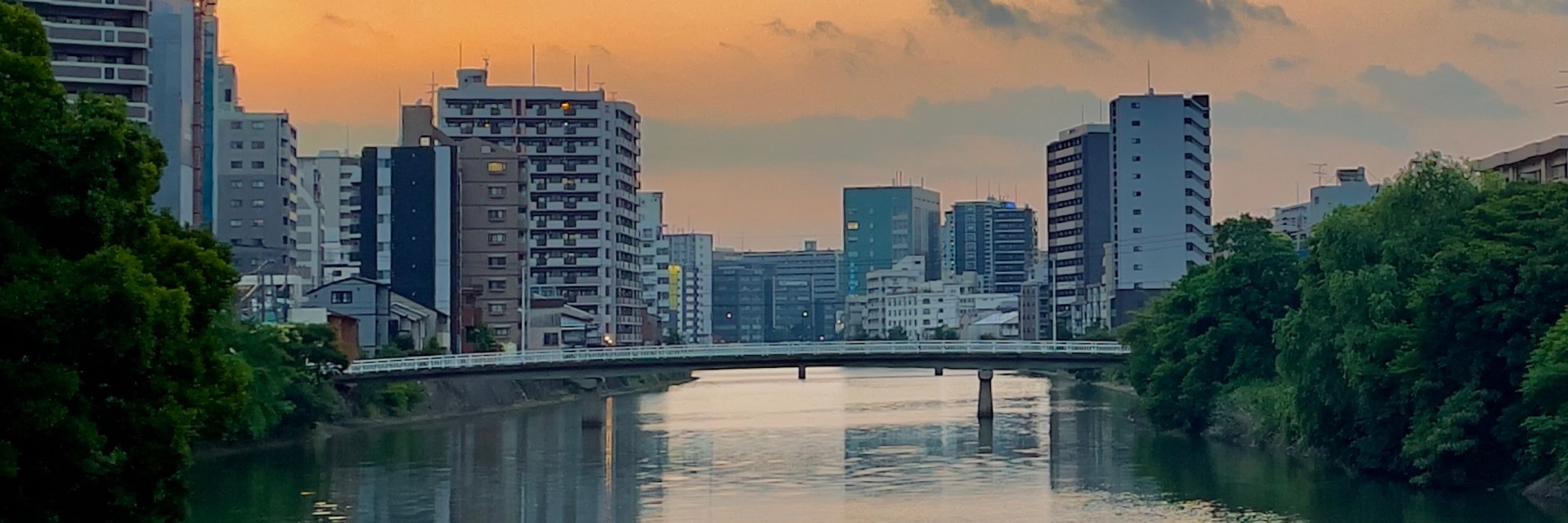 木場そーや
