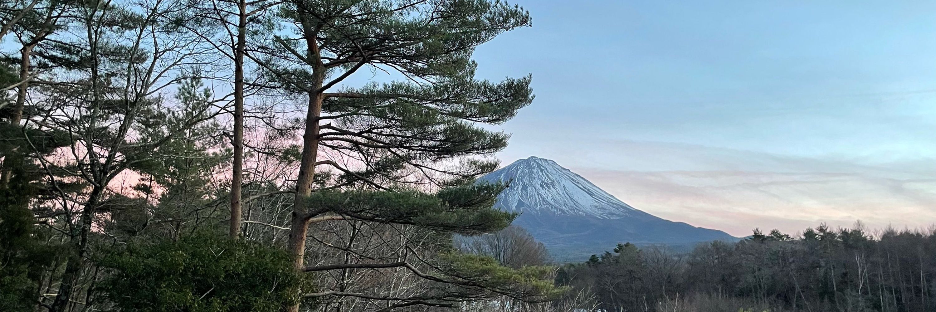 おにぎり