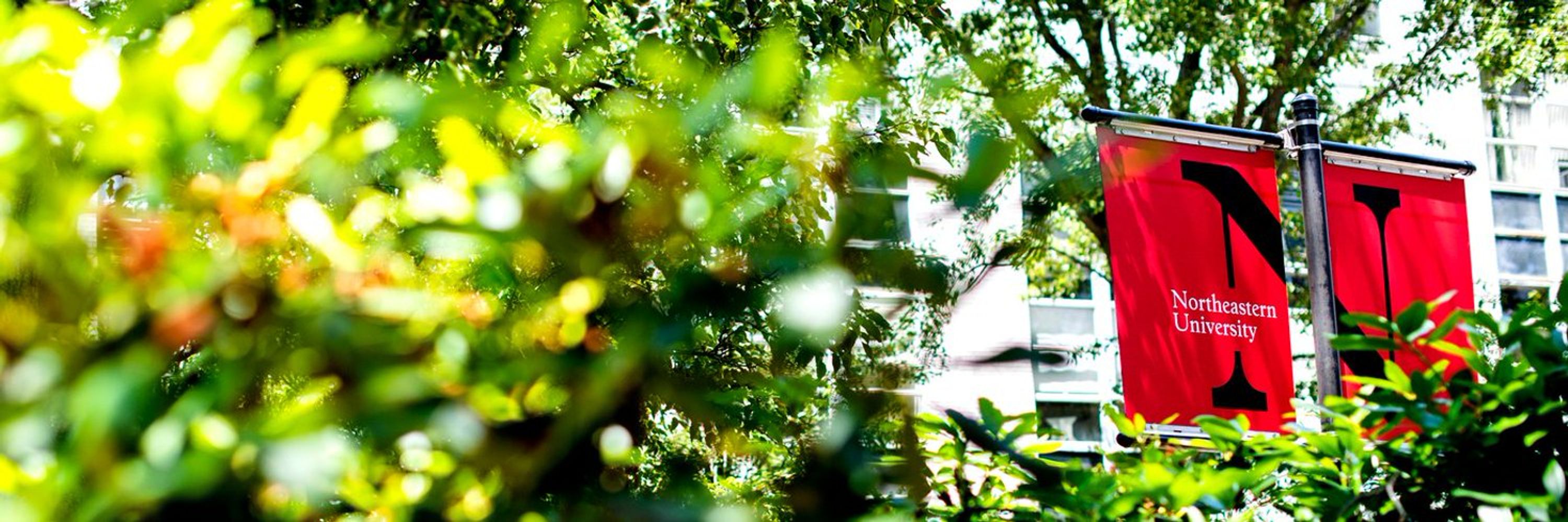 Northeastern College of Science