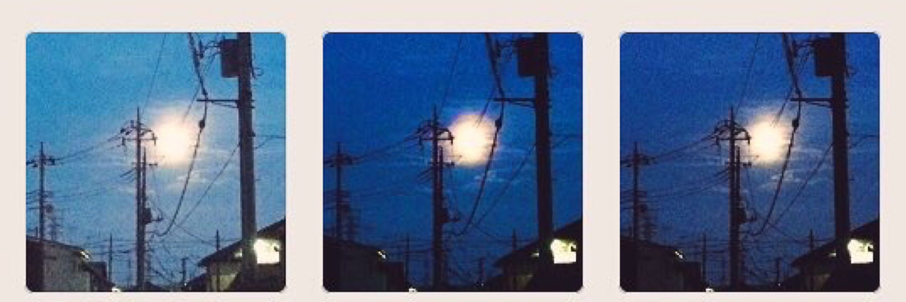 毛玉