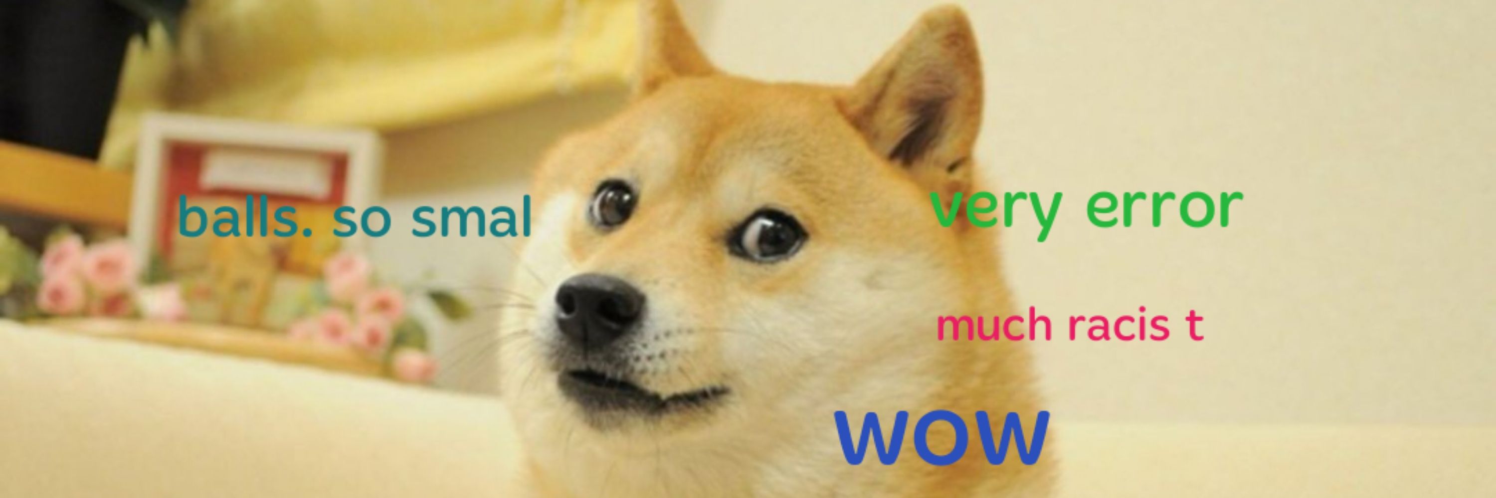 We Rate D.O.G.E.
