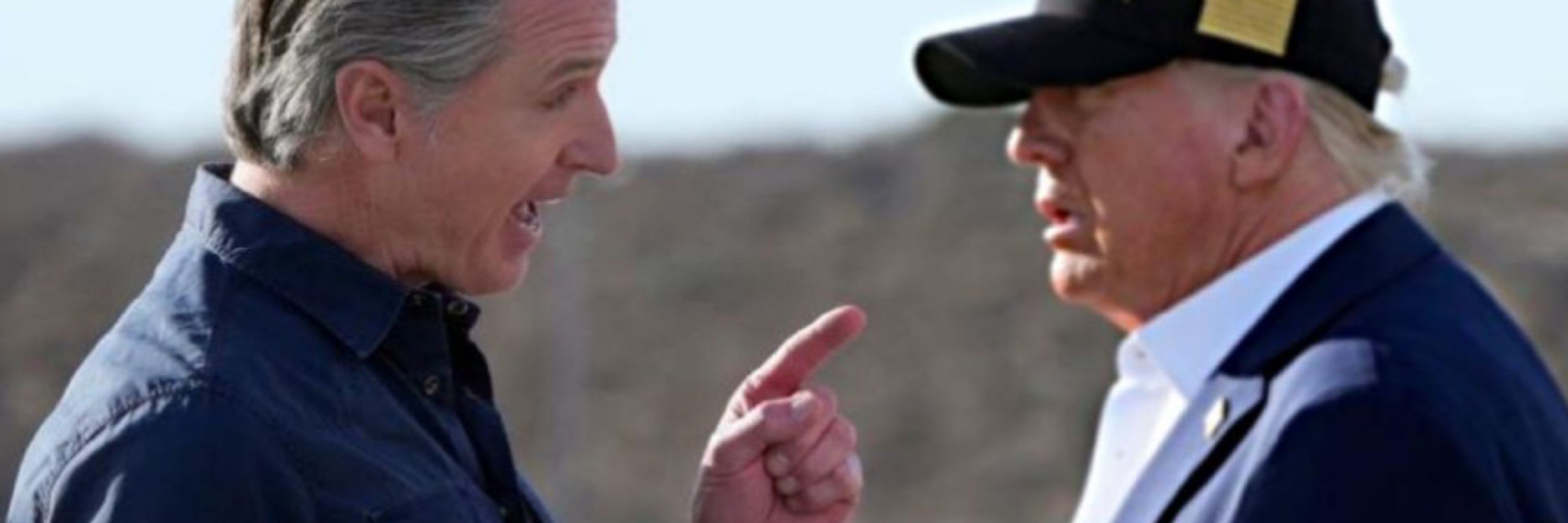 DialogusPoliticus