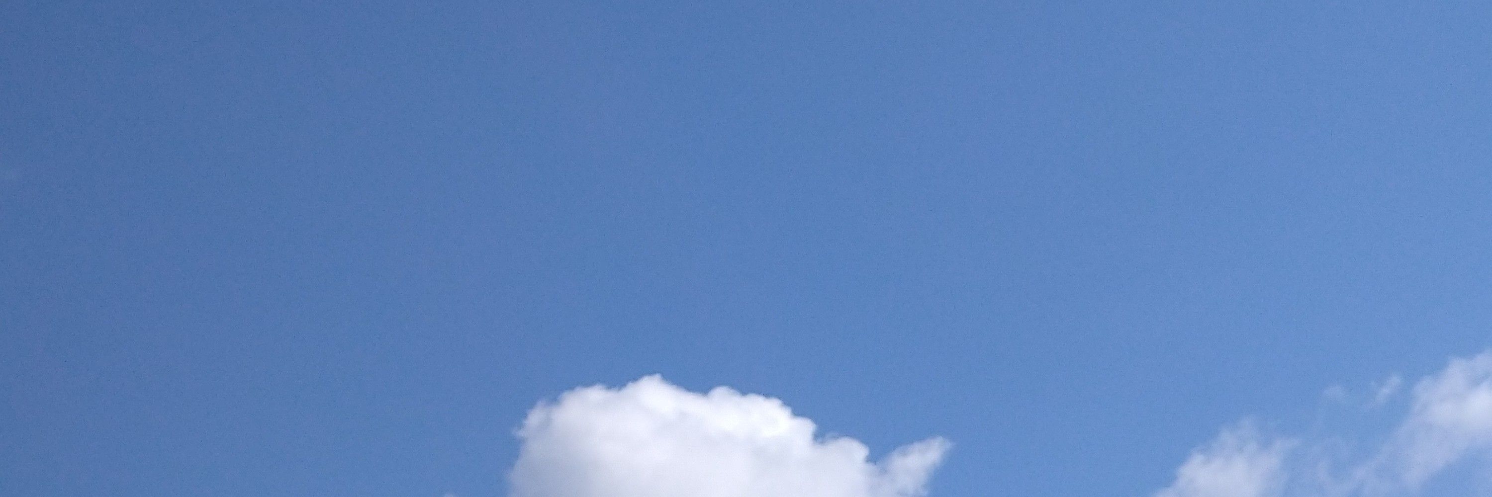 ともこ(ともこもと)