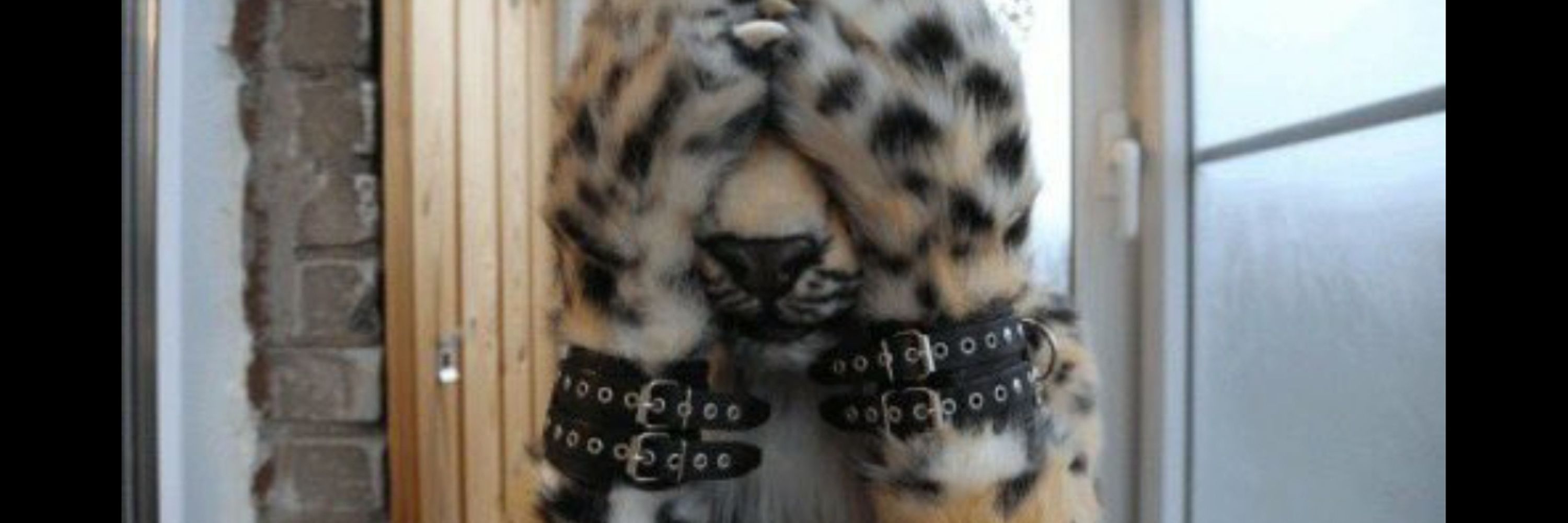 Mutant 