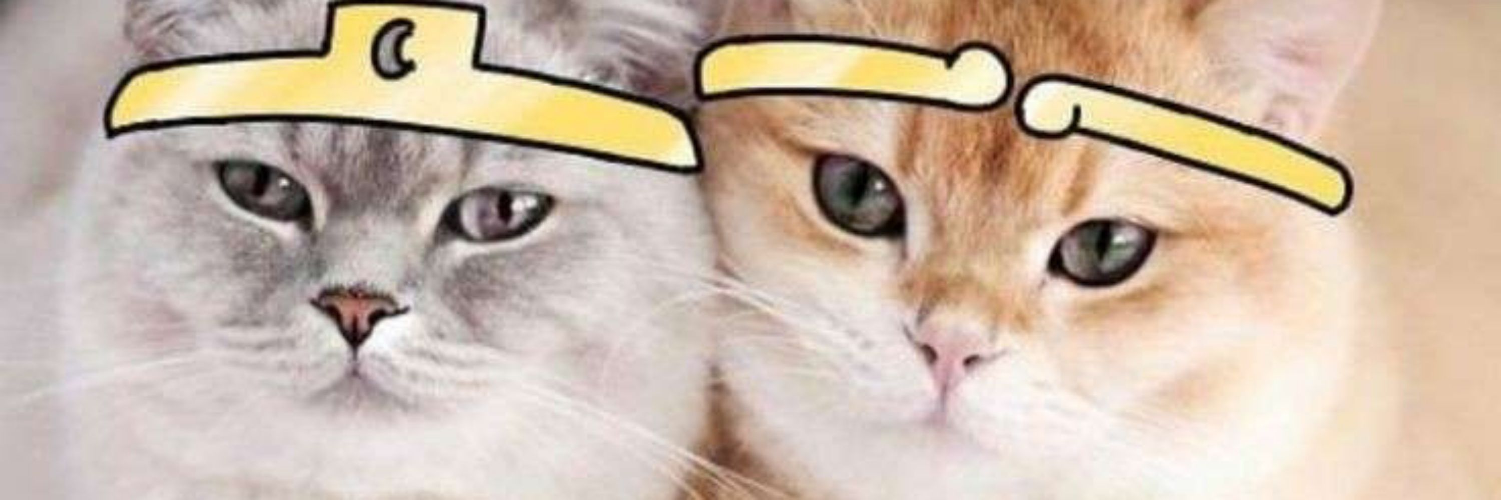 Mochii