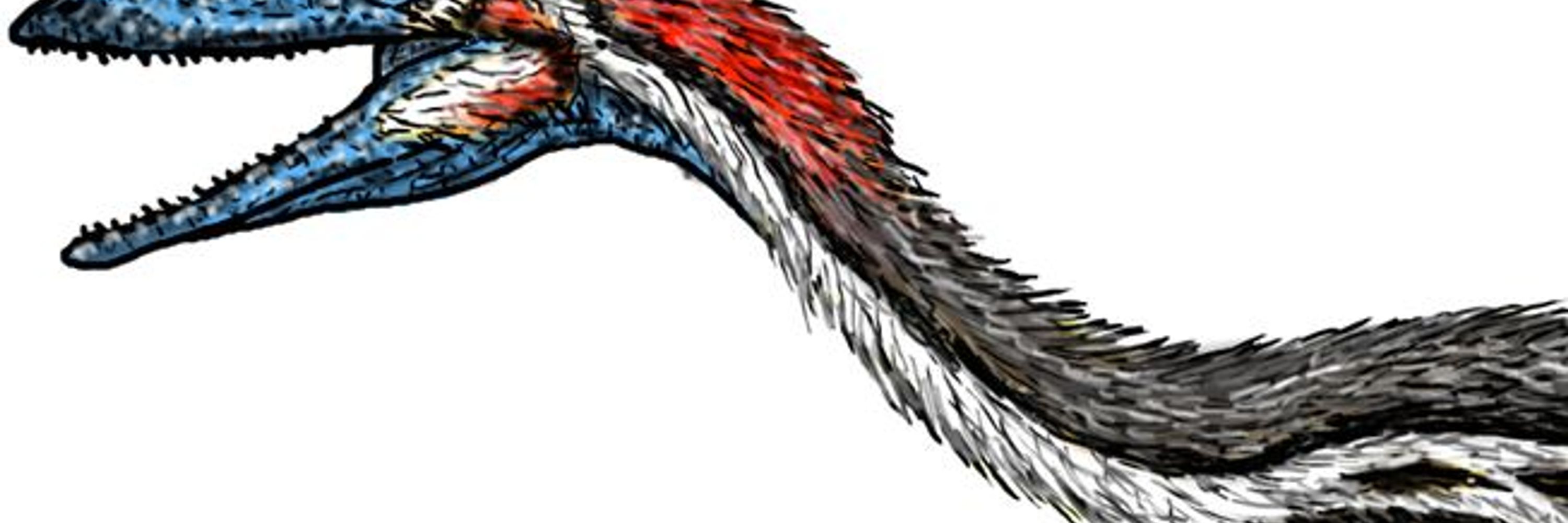 Coelophysis Bauri