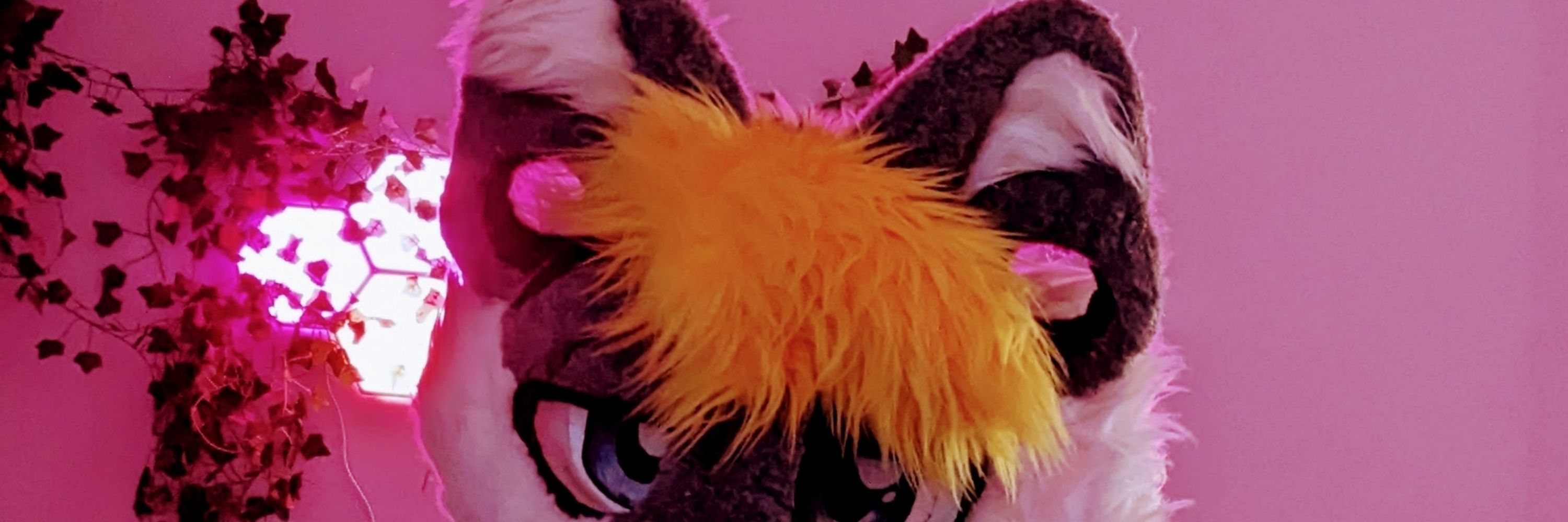 Blair Lemur