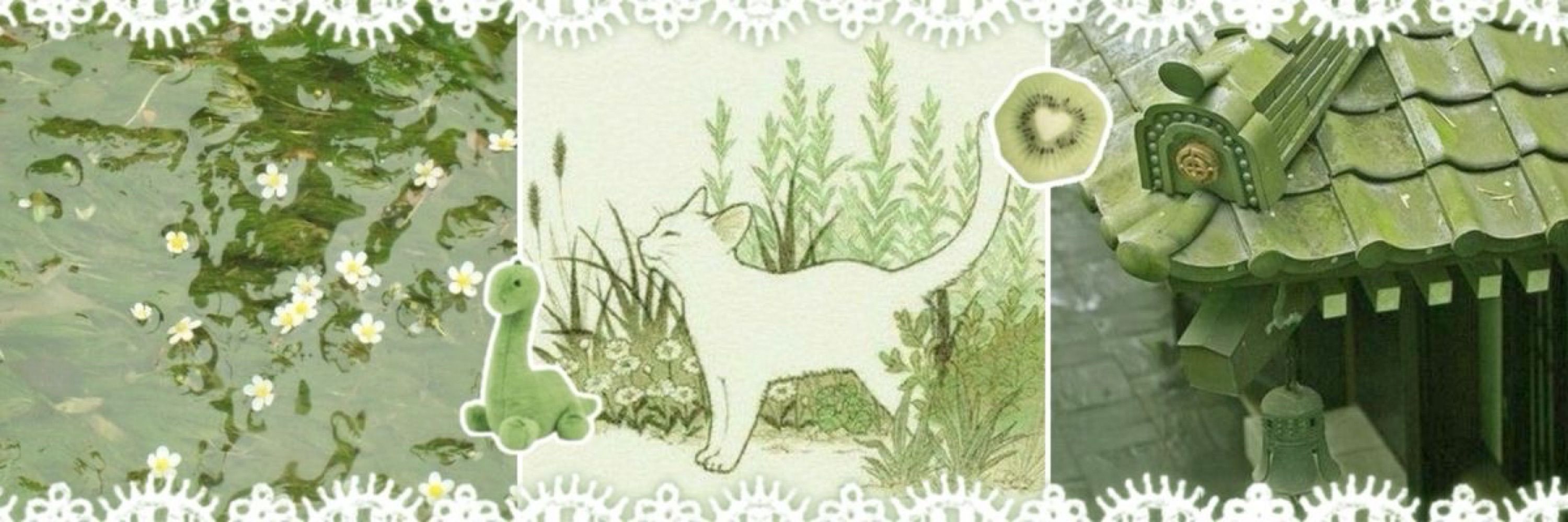 River 🍀🐈