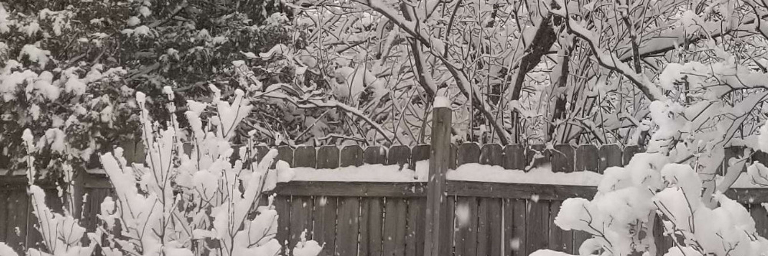 FaultyBranches