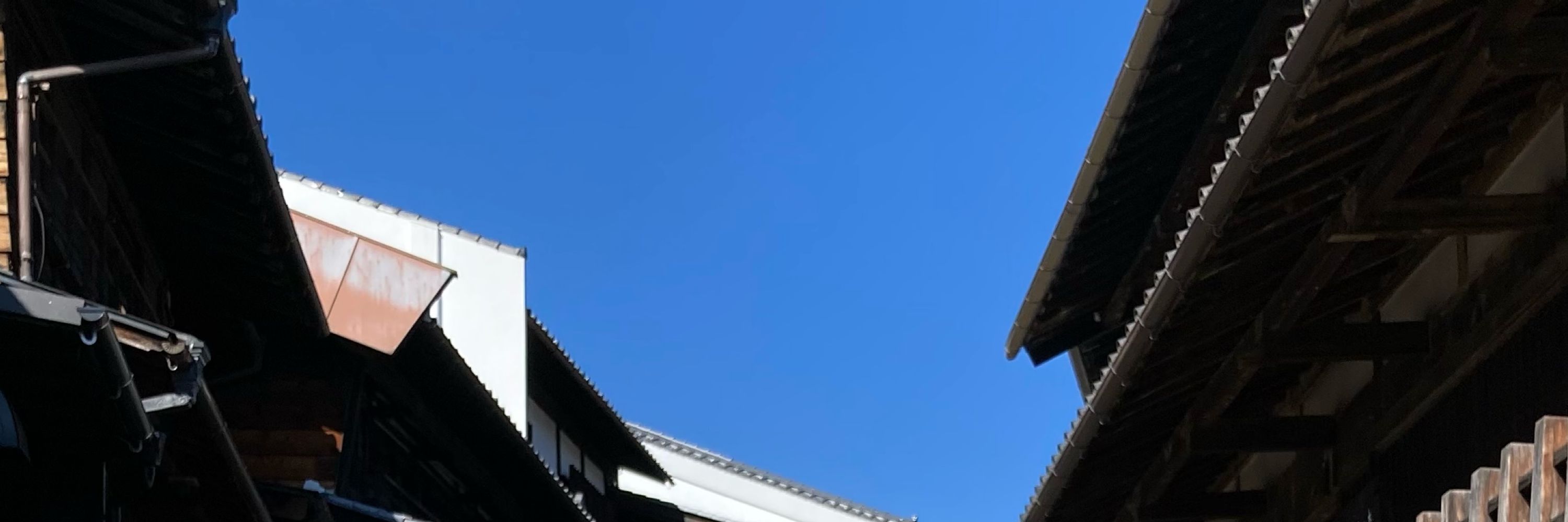 りおん（ふおんのひと）