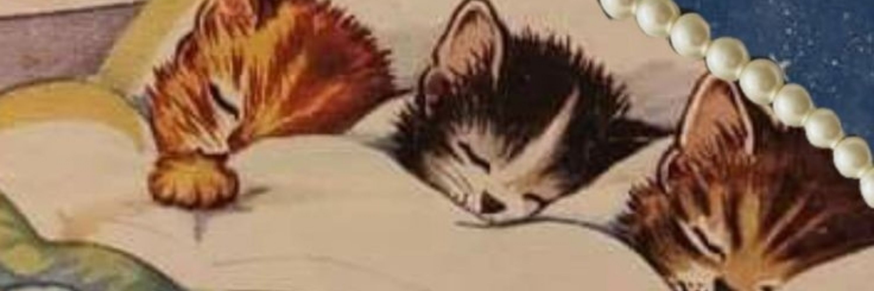 🐱ℂ𝕙𝕦𝕣𝕣𝕠🔞